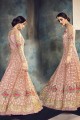 rose clair, costume Anarkali net papillon multi couleur