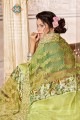 couleur vert clair fantaisie sari de soie