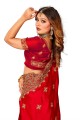 sari de mariage rouge en zari, brodé, satin à bordure en dentelle