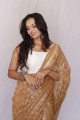 Saris imprimé net party wear en chiku