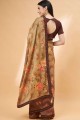 beige  sequins,embroidered sari in georgette